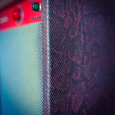 Hunter Amplifiers Snakebite - Tweed Champ Based - Custom Color Red Snakeskin image 2