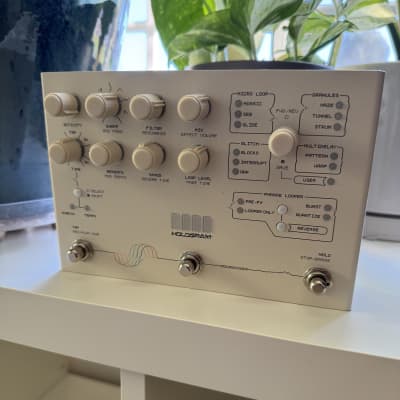 ★限定値下げ・新同 Hologram Electronics Microcosm Microcosm | Granular Looper & Glitch Pedal – Hologram Electronics
