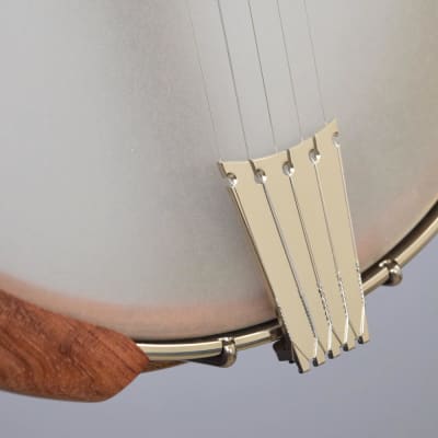 Nechville Atlas Standard 12" Open Back Banjo (#2992) image 5