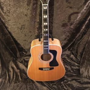 Guild D60 Maple Back "90s Westerly Wonder" Rare Bird  Acoustic Electric Top of the Line Model image 4