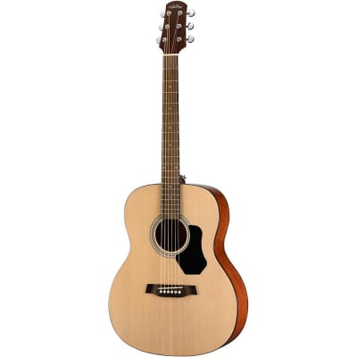 Walden Standard Orchestra Acoustic Gloss Natural image 2