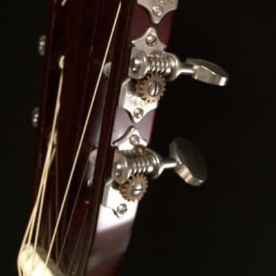 1990s Tippin Guitar Company D5TC Guitar image 7