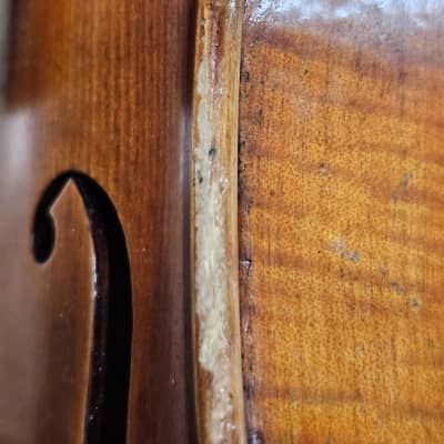 D Z Strad Violin- Model 509 - 'Maestro' Old Spruce Stradi Powerful Tone Antique Varnish Violin Outfit (1/2 Size)(Pre-owned) image 8