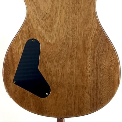 Paul Reed Smith PRS Core Pauls Guitar 10 Top Faded Blue Jean Mahogany Neck Ser # 0386550 image 6