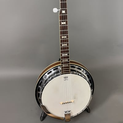 Pan 5 String Banjo image 1