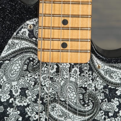 Fender Brad Paisley Esquire Electric Guitar, Maple Fingerboard, Black Sparkle image 6