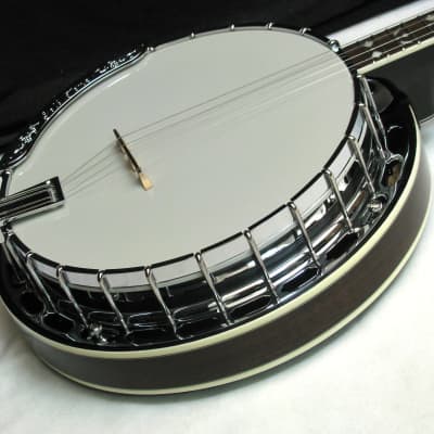 GOLD TONE TS-250 Tenor Special banjo NEW w/Hard Case image 2