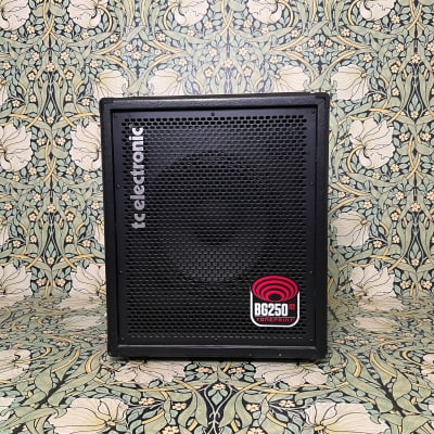 TC Electronic BG250-112 Bass Combo | Reverb