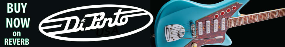 ギター Di Pinto los-straightjackets_2200x1400.jpg