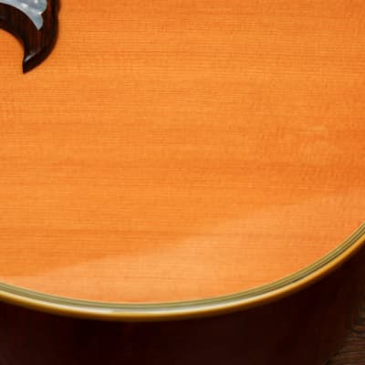 GIBSON USA Electro Acoustic Dove "Antique Natural + Rosewood" (2012) image 10
