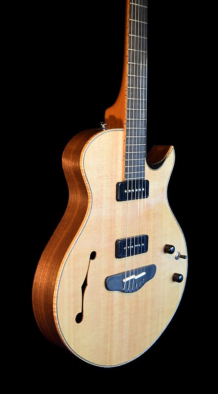 Bright Guitars Hollow Grizzly image 1