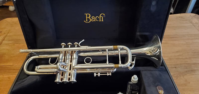 Bach 180S37 Stradivarius Series Bb Trumpet | Reverb