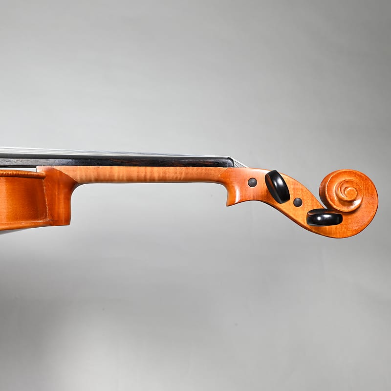 Franz Sandner Violin (Intermediate), 4/4, Germany | Reverb