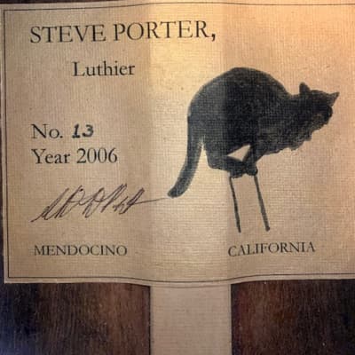 Steve Porter  Concert Classical Guitar #13 image 10