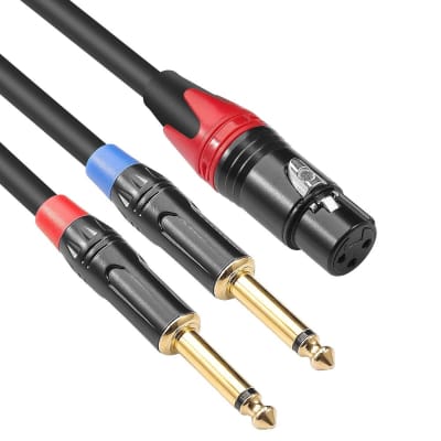 TISINO Dual XLR to 3.5mm Stereo Mic Cable, 2 XLR Female to 1/8 Inch Mini  Jack Y-Splitter Breakout Lead Microphone Cord - 3.3 feet