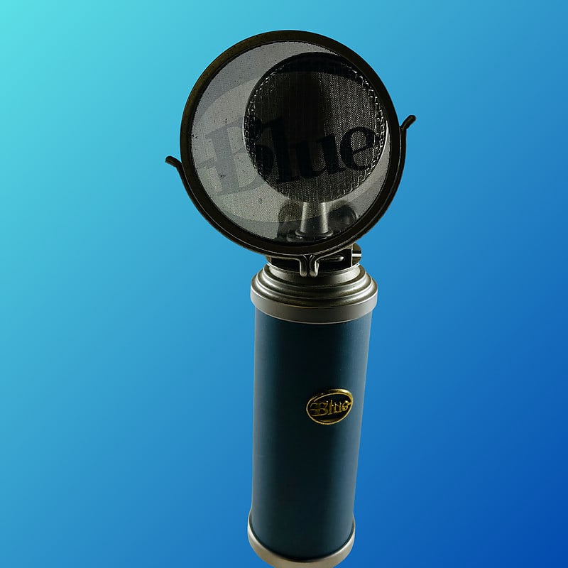 Blue Bluebird Large Diaphragm Cardioid Condenser Microphone | Reverb