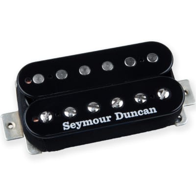 SEYMOUR DUNCAN ITALIA SH3 STAG MAG ZEBRA | Reverb Canada