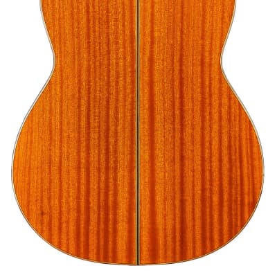 Cordoba C9 Classical Guitar Cedar/Mahogany image 8
