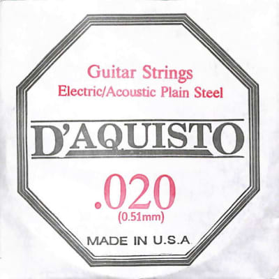 One (1) - .020 Plain Nickel Silver - D'Aquisto - Electric / Acoustic Guitar String for sale