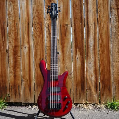 Spector Bantam-5 Black Cherry Gloss 32 inch 5-String Bass Guitar w/ Gig Bag image 2