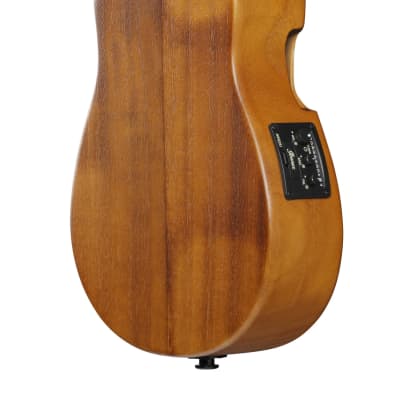 Ibanez AUC10E-OPN Concert Ukulele Open Pore Natural incl. Gigbag - NEW image 10