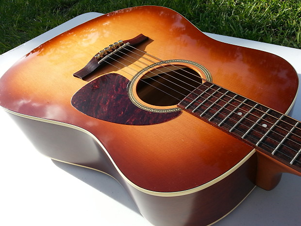 Seagull Coastline S6 Burst GT Cedar