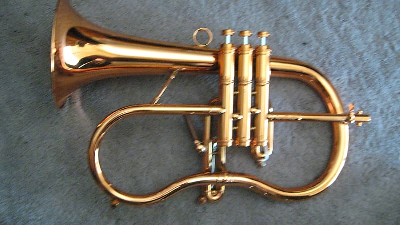 Carol Brass Blackhawk B Flat Pocket Trumpet - Trumpets for students to pro  players - Cornets and Flugelhorns - Sax & Woodwind and Brass