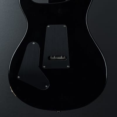 Paul Reed Smith Custom 24 "Floyd" 10 Top - Faded Whale Blue image 4
