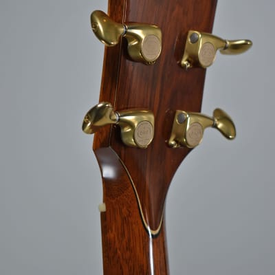 2011 Taylor Custom GO Brazilian Rosewood Natural Finish Acoustic w/OHSC image 19