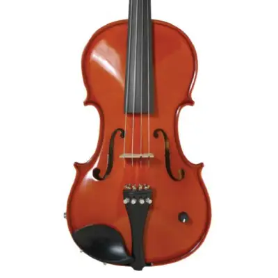 Barcus-Berry BAR-AEV Vibrato AE Series Acoustic-Electric Violin. Natural image 2