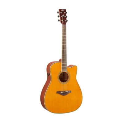 Yamaha Vintage Tint Acoustic Guitar image 2