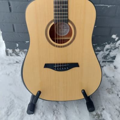 Jay Turser JTA-54B-OPN Acoustic Guitar image 1