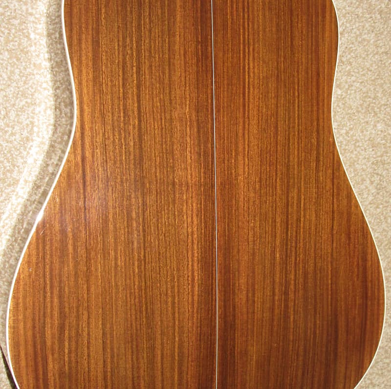 Jimmy moon guitar 2025 for sale