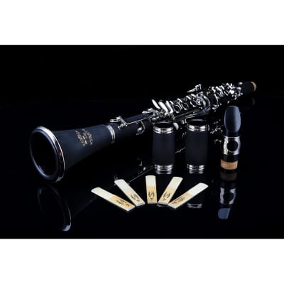Professional Ebonite Bb Clarinet with 10 Reeds, Stand, Hard Case, Cleaning Cloth, Cork Grease, Mouthpiece Brush and Pad Brush, Black image 4