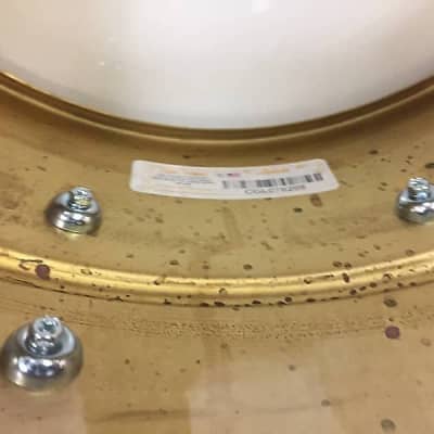 Ludwig LB484R Raw Brass Phonic 8x14" Snare Drum w/ Imperial Lugs image 9