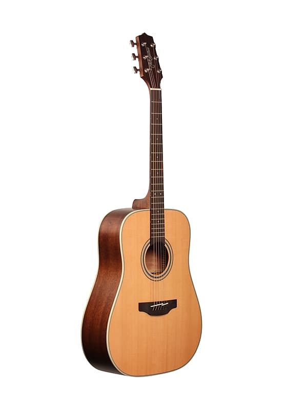 Takamine GD20 NS G20 Series Dreadnought Acoustic Guitar Natural Satin