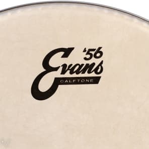 Evans Calftone Drumhead - 13 inch image 2
