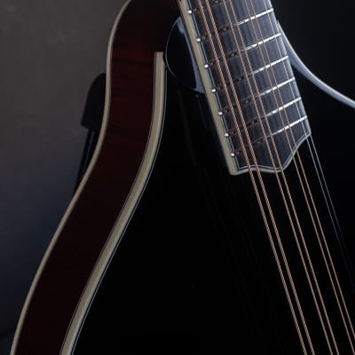 Bourgeois M5-O-BT Black Top Aged F-style Octave mandolin Brand New image 4