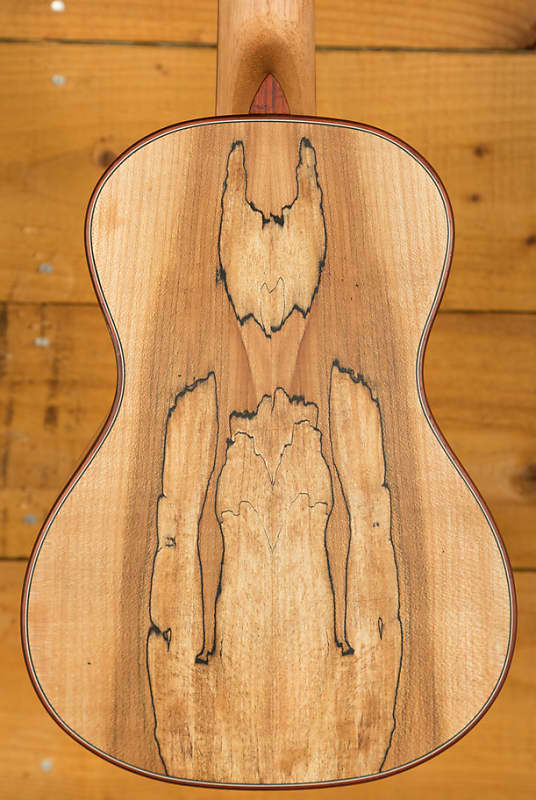 Cordoba 24 Series Ukes | 24C Spruce Concert Ukulele - Natural