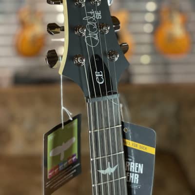 PRS SE CE24 Sandblasted Limited Edition Purple + NEW + 3,055 kg image 4