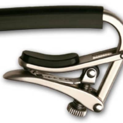 SHUBB Standard Capo - Polished Nickel Finish - 12 String for sale