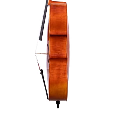 Goffriller Cello 4/4 | Oil Varnished | Hand-Made in Romania image 5