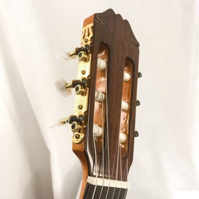 Aria AC70 Concert Series Electric Cutaway Classical Guitar - Spanish-Made - Excellent Condition Used image 7