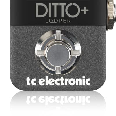 TC Electronic DITTO+ LOOPER Next Generation Multi-Session Looper Pedal image 3