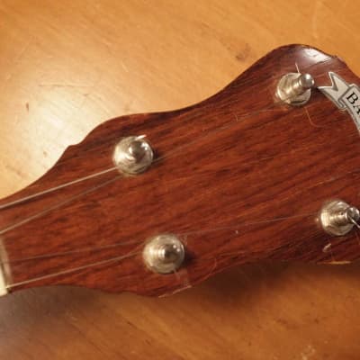 Baldwin (ODE) Model 2SR, 5 String banjo, HSC image 11