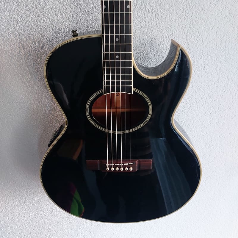 Washburn EA 20 Festival Series 1990 Vintage | Reverb