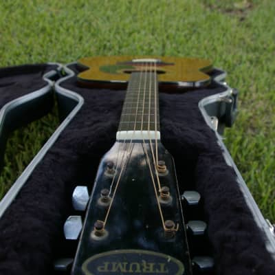 Trump Dreadnought with Vintage Case image 12