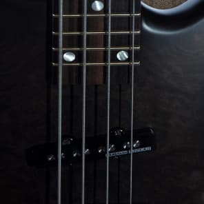 Warwick Artist Series P Nut Signature Bass 2013 Nirvana Blackburst image 4