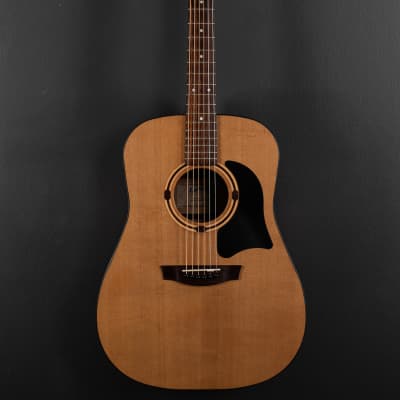 Garrison G20 | Reverb