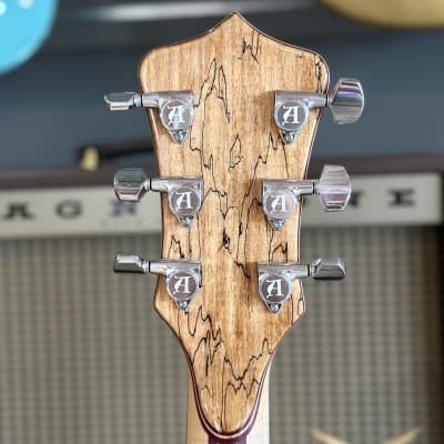 Alembic Darling - Spalted Maple image 5